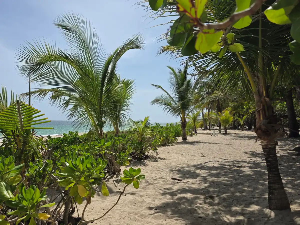 Roatan Casa Martina photo 22