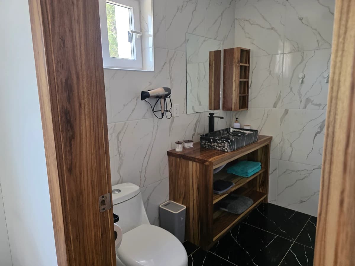 Master Bathroom 1